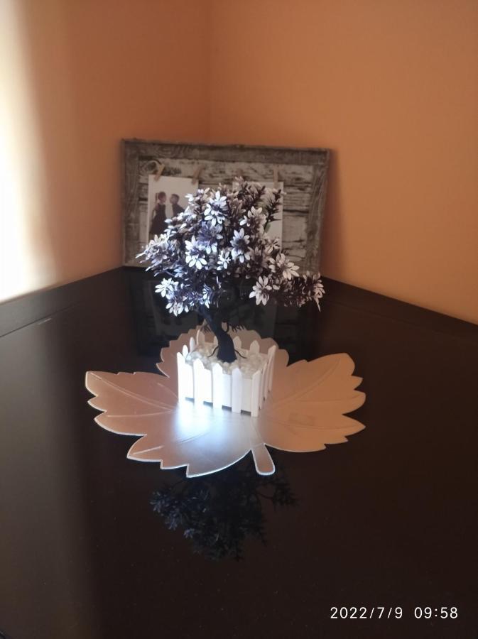 Buric Rooms Nikšić Bagian luar foto
